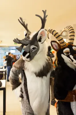 IMG_1278-lr16t.jpg of FC/FC2017/