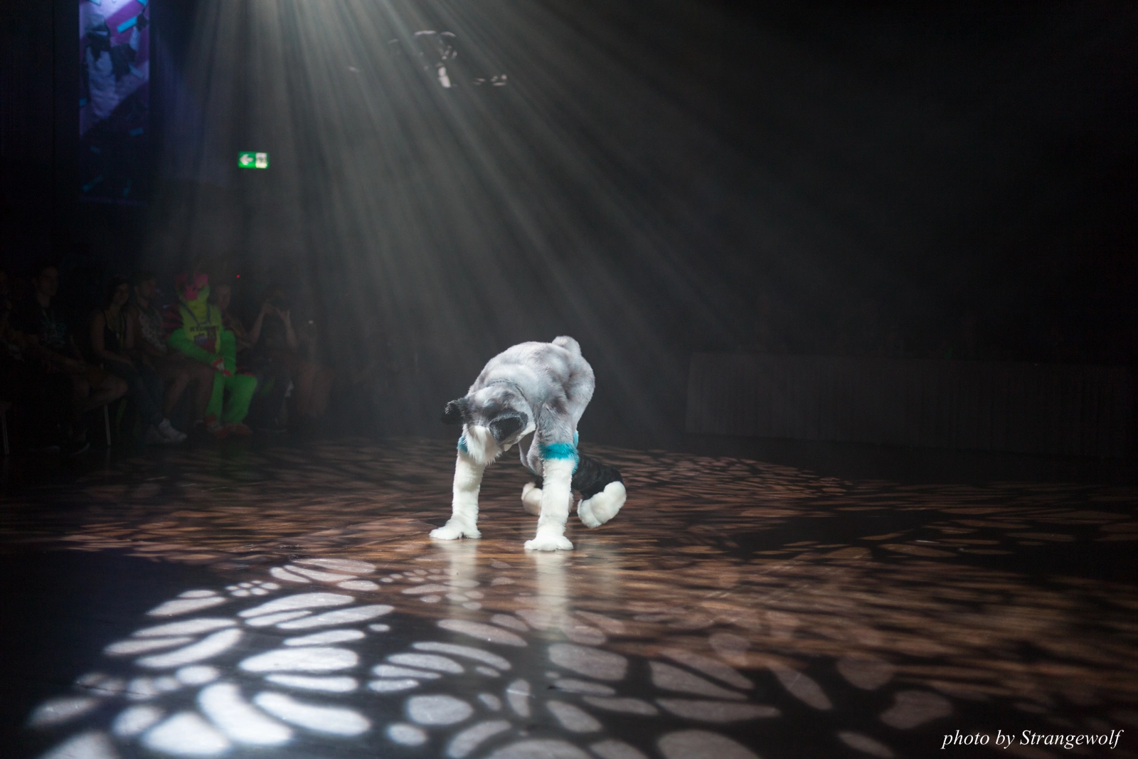 full image IMG_9104-lr16t.jpg