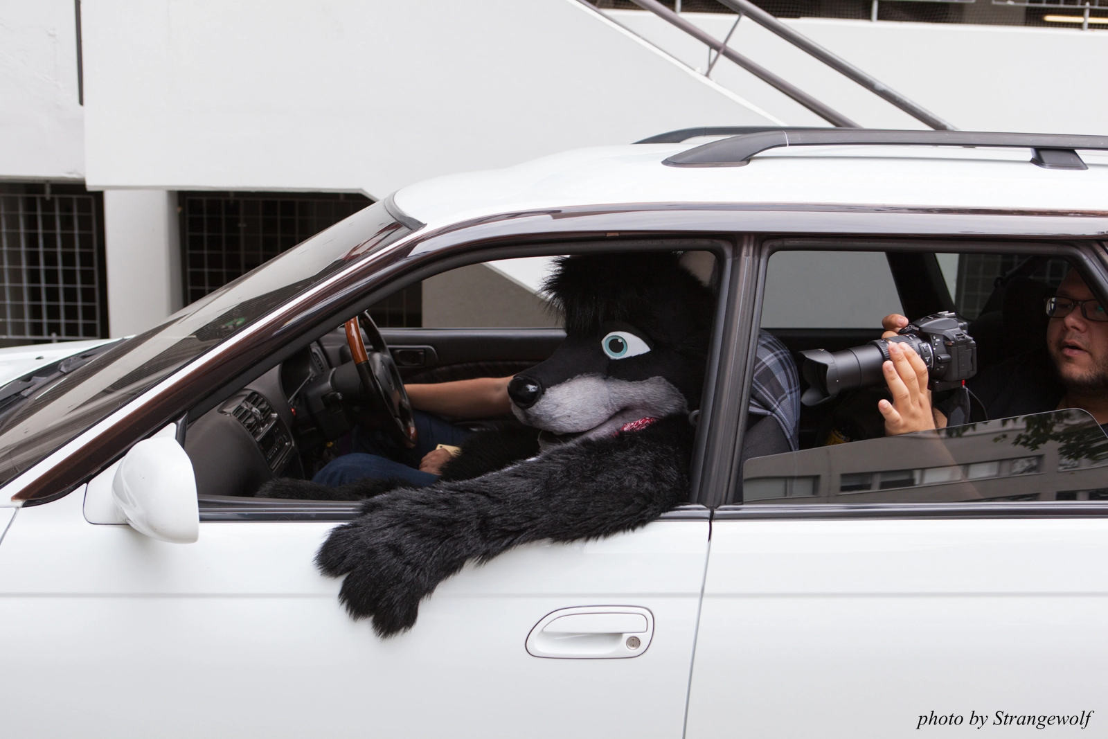 full image IMG_0190-lr16t.jpg