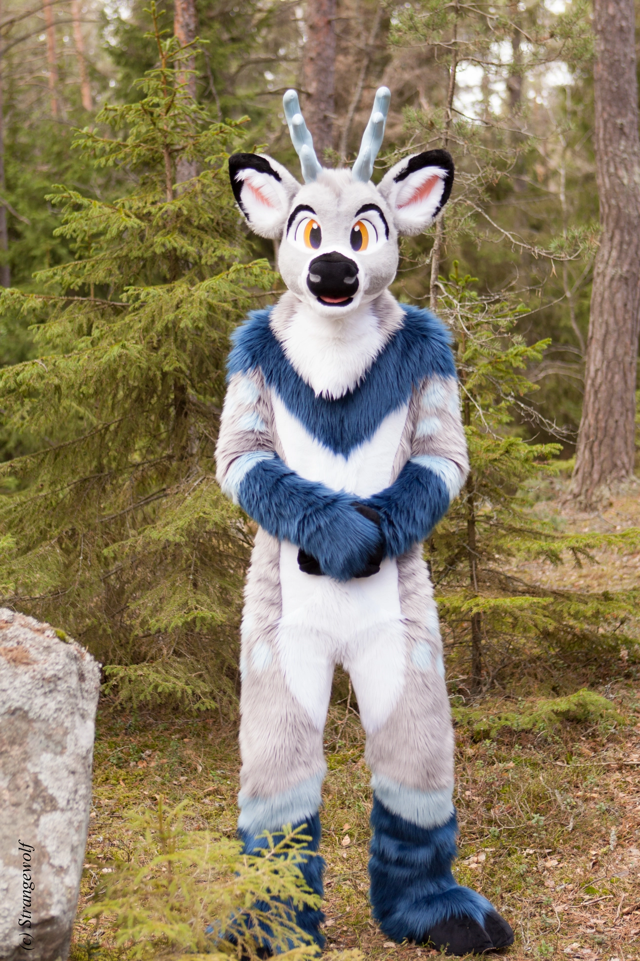 full image IMG_8653-lr19t.jpg