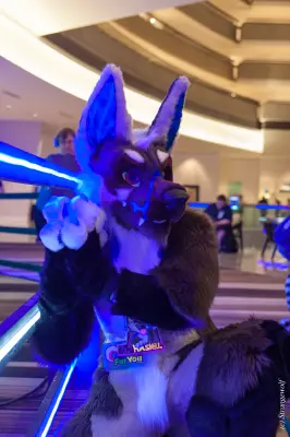 IMG_1335-lr19t.jpg of FWA/FWA2018/