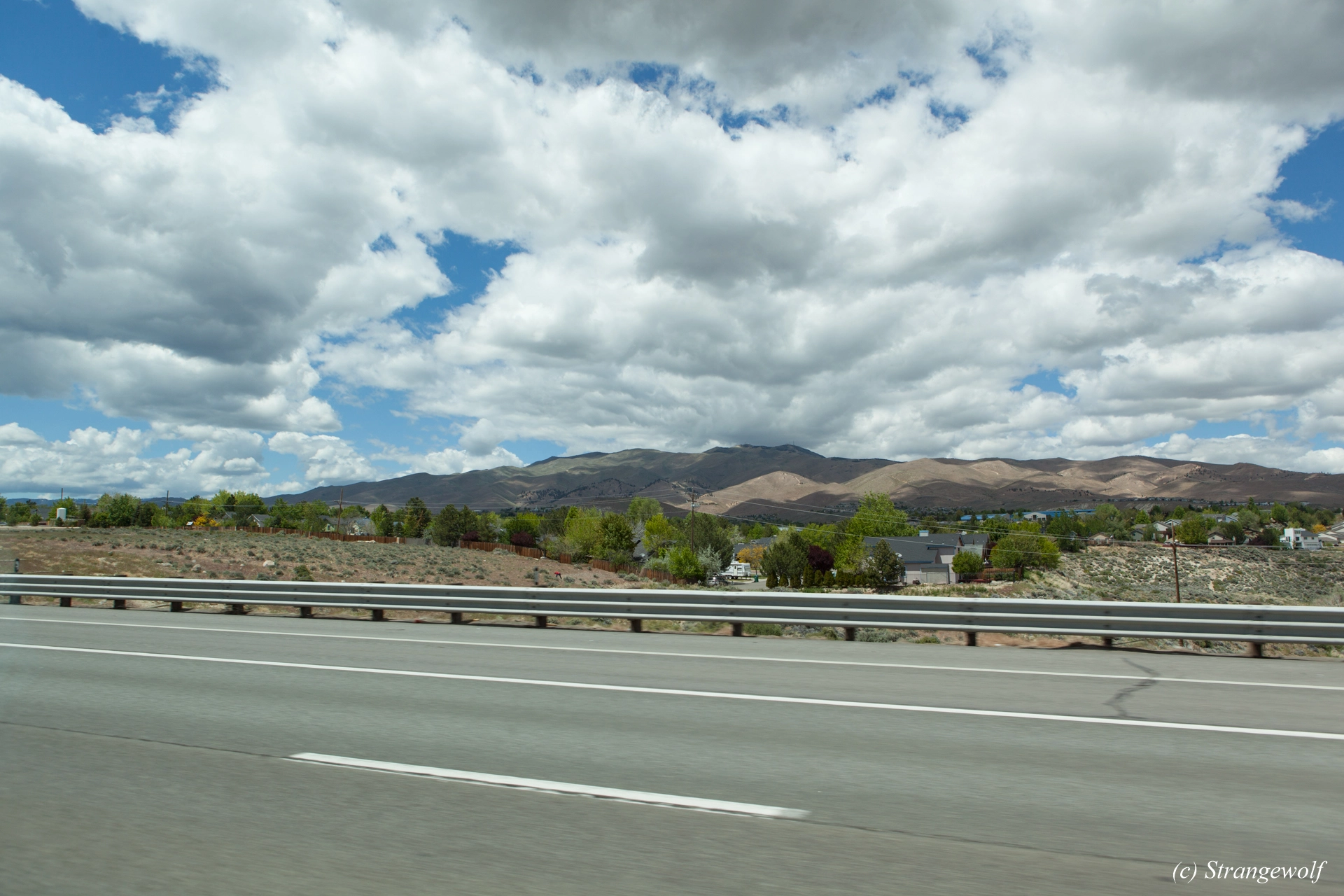 full image IMG_3423-lr19t.jpg