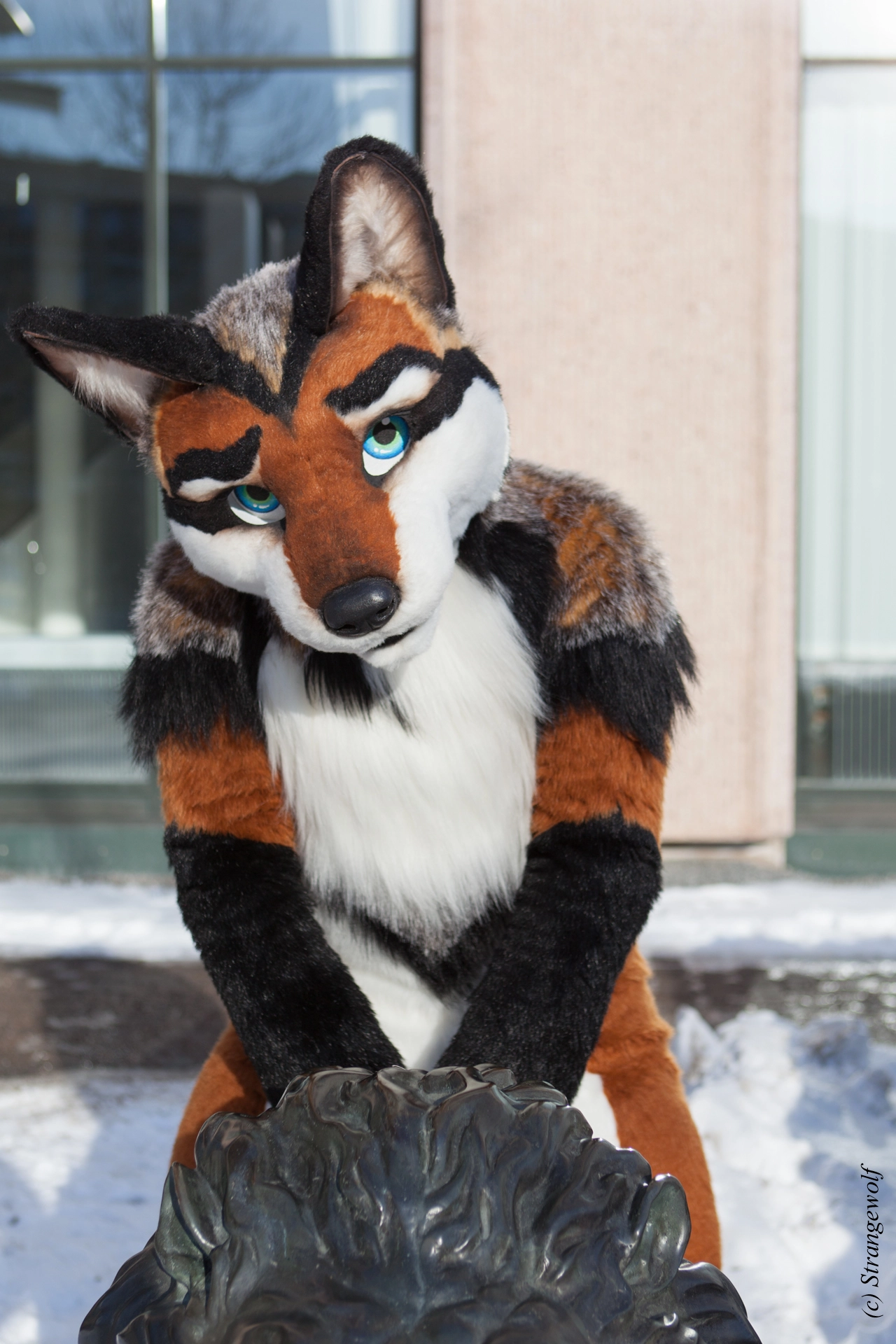 full image IMG_0060-lr19t.jpg