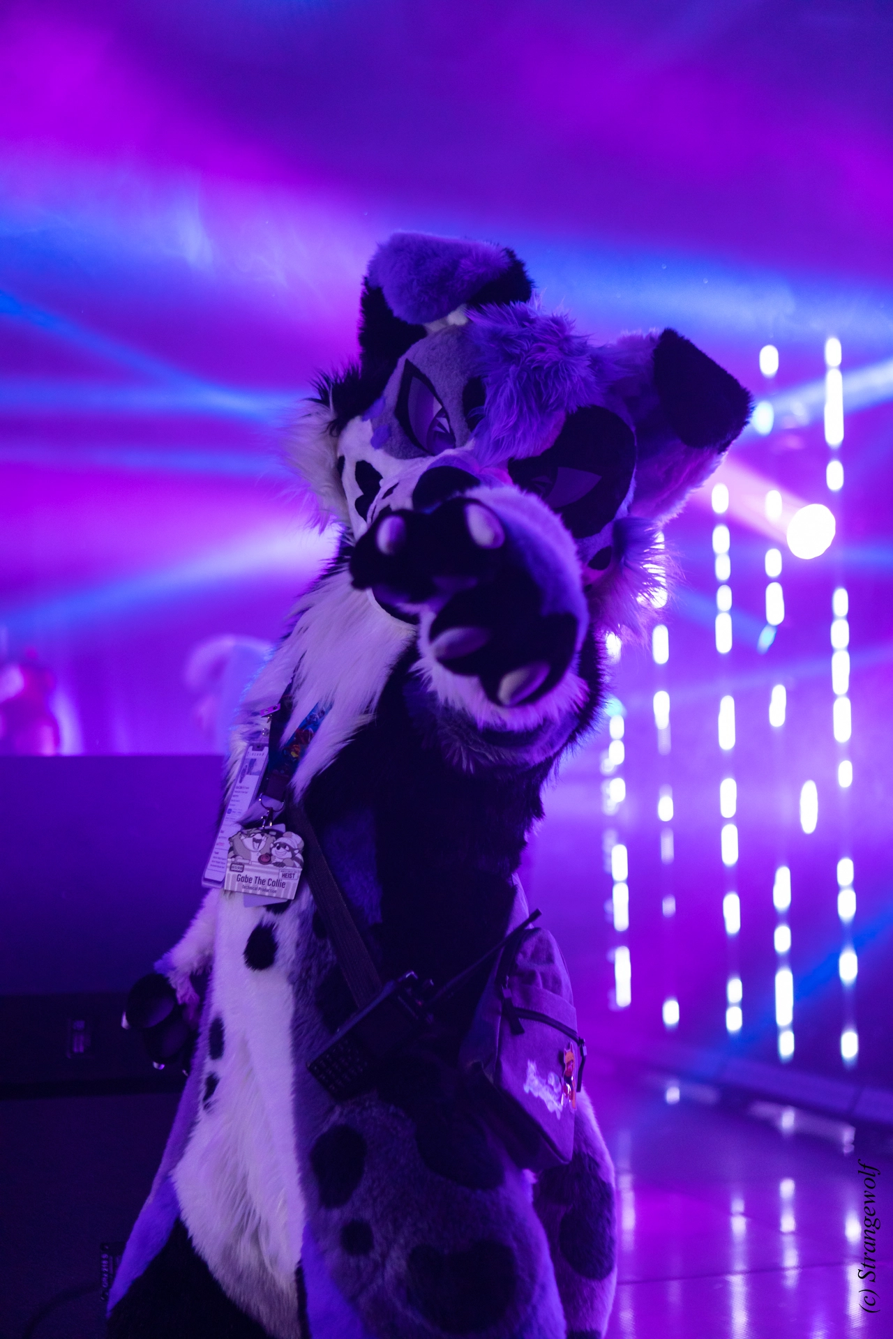 full image 1R3A5508-lr19t.jpg