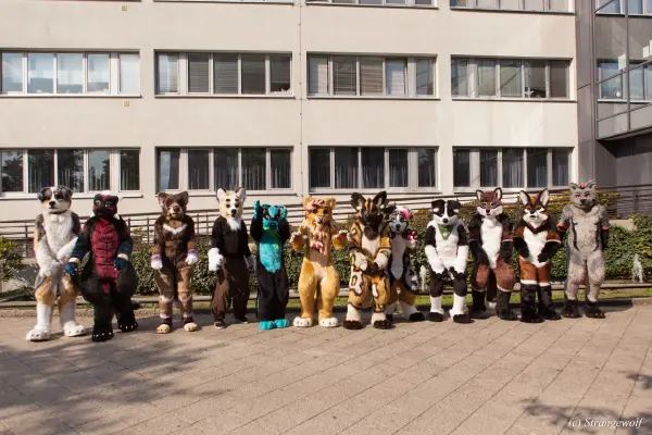 IMG_4961-lr19t.jpg of EF/EF24/Fotoshoot-Neonfurs/