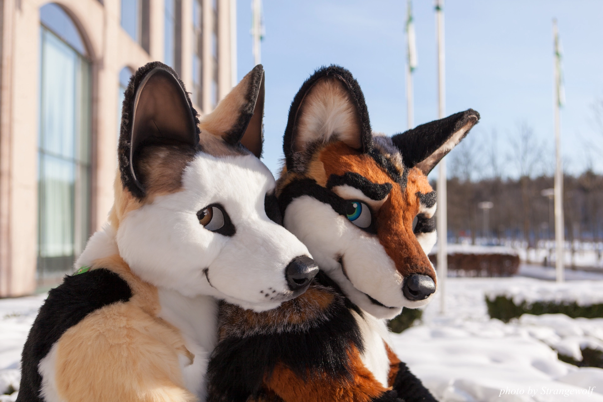 full image IMG_0087-lr19t.jpg