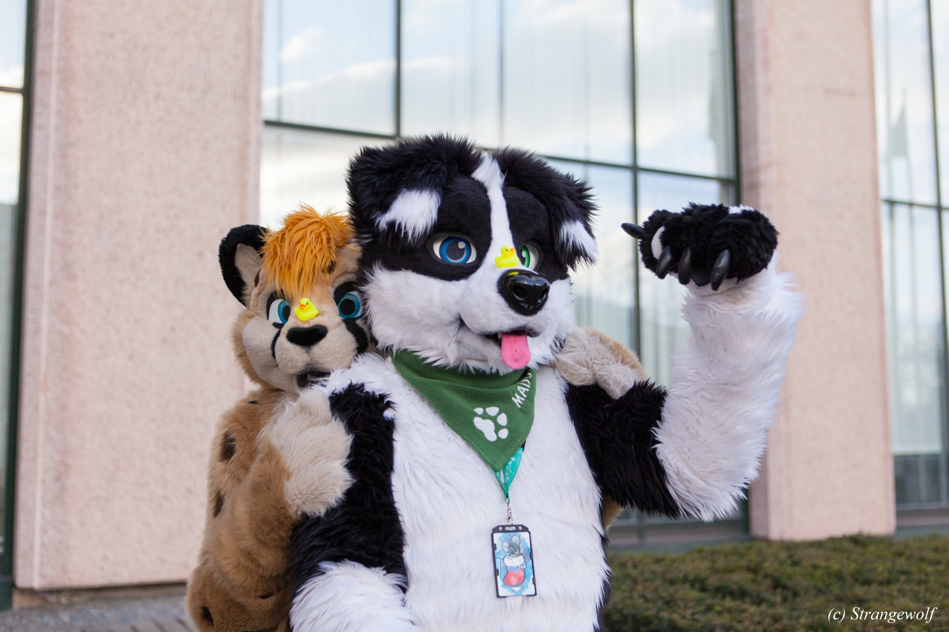 full image IMG_8802-lr19t.jpg