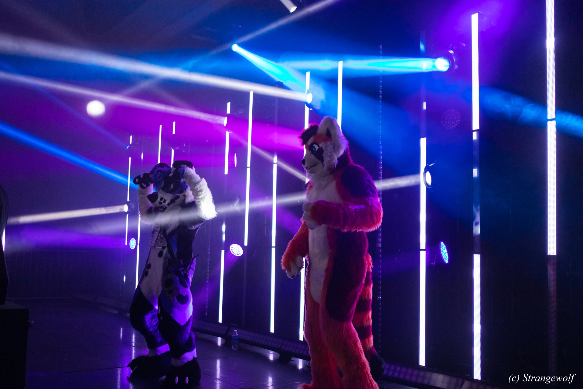 full image 1R3A5481-lr19t.jpg