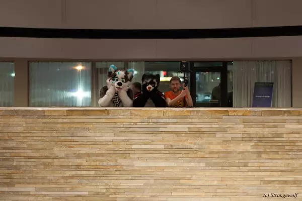 IMG_7092-lr19t.jpg of MFF/MFF2018/