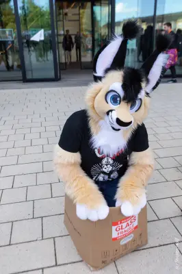 1R3A9285-lr19t.jpg of EF/EF29/