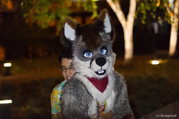 IMG_6410-lr19t.jpg of DFD/DFD2018/