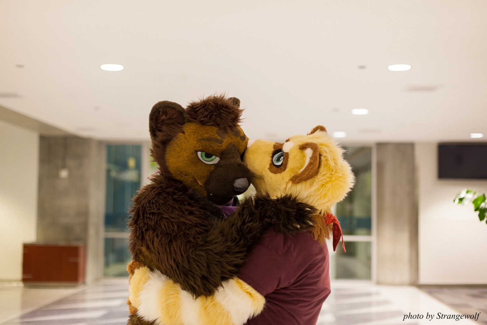 full image IMG_1110-lr16t.jpg