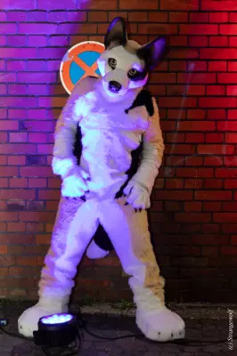 1R3A2651-lr19t.jpg of Furstrike/Furstrike 2022/