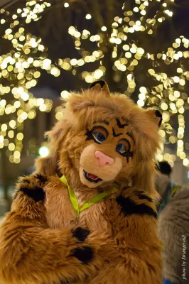 IMG_1480-lr16t.jpg of NFC/NFC2017/