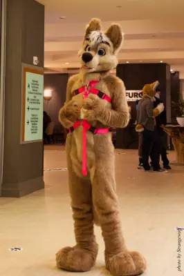 IMG_1288-lr16t.jpg of FC/FC2017/