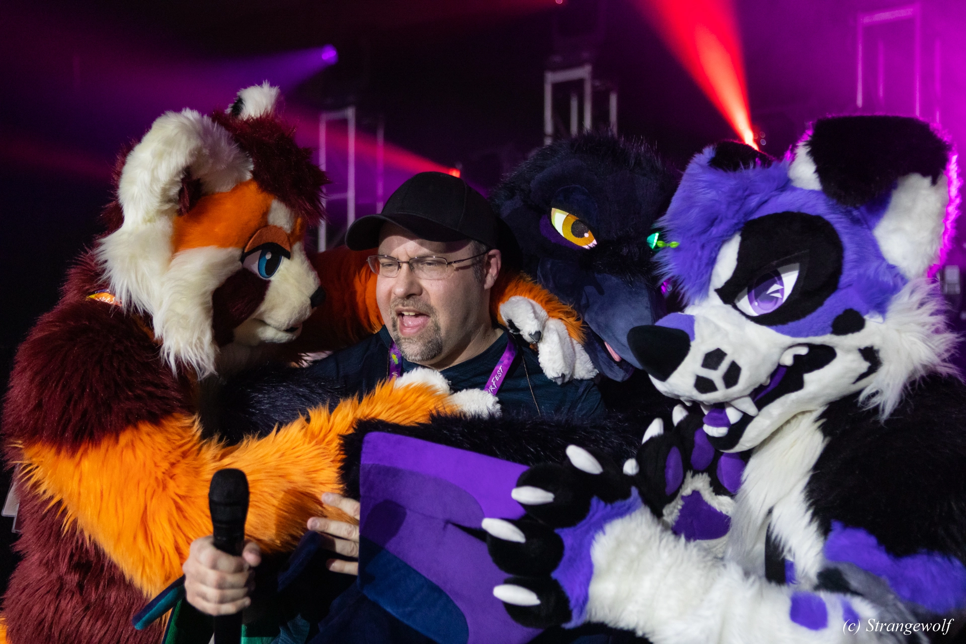 full image 1R3A0931-lr19t.jpg