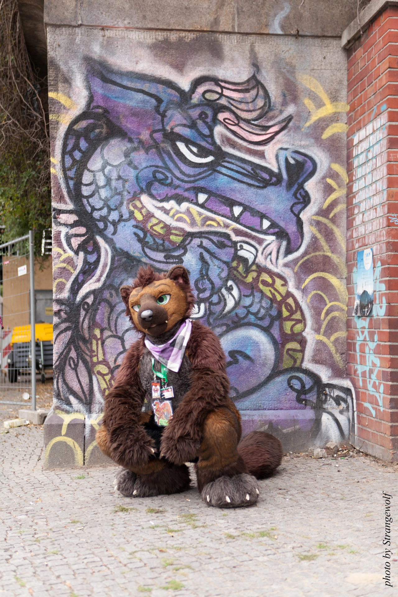 full image IMG_6783-lr19t.jpg