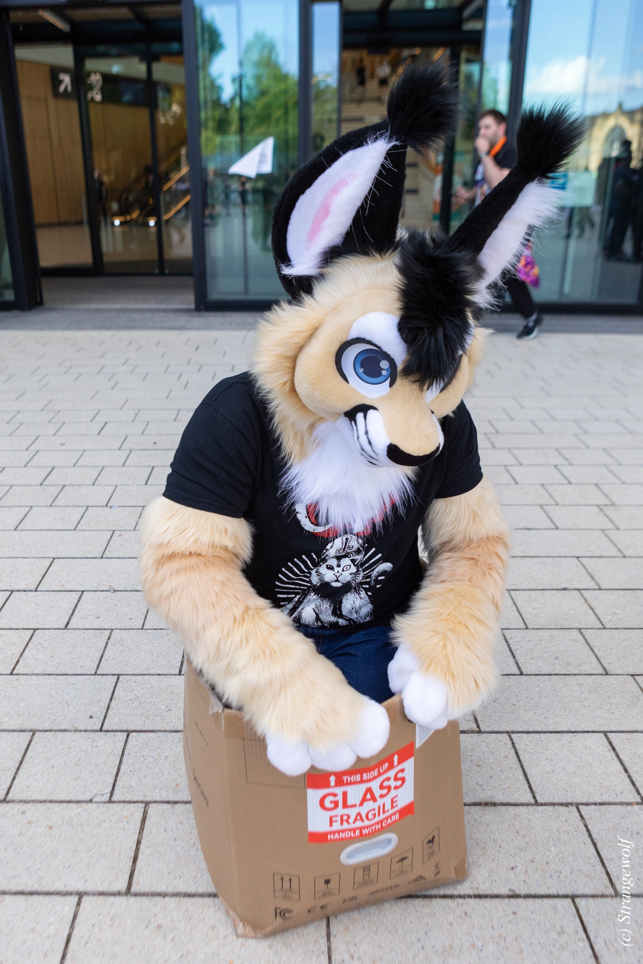 full image 1R3A9287-lr19t.jpg