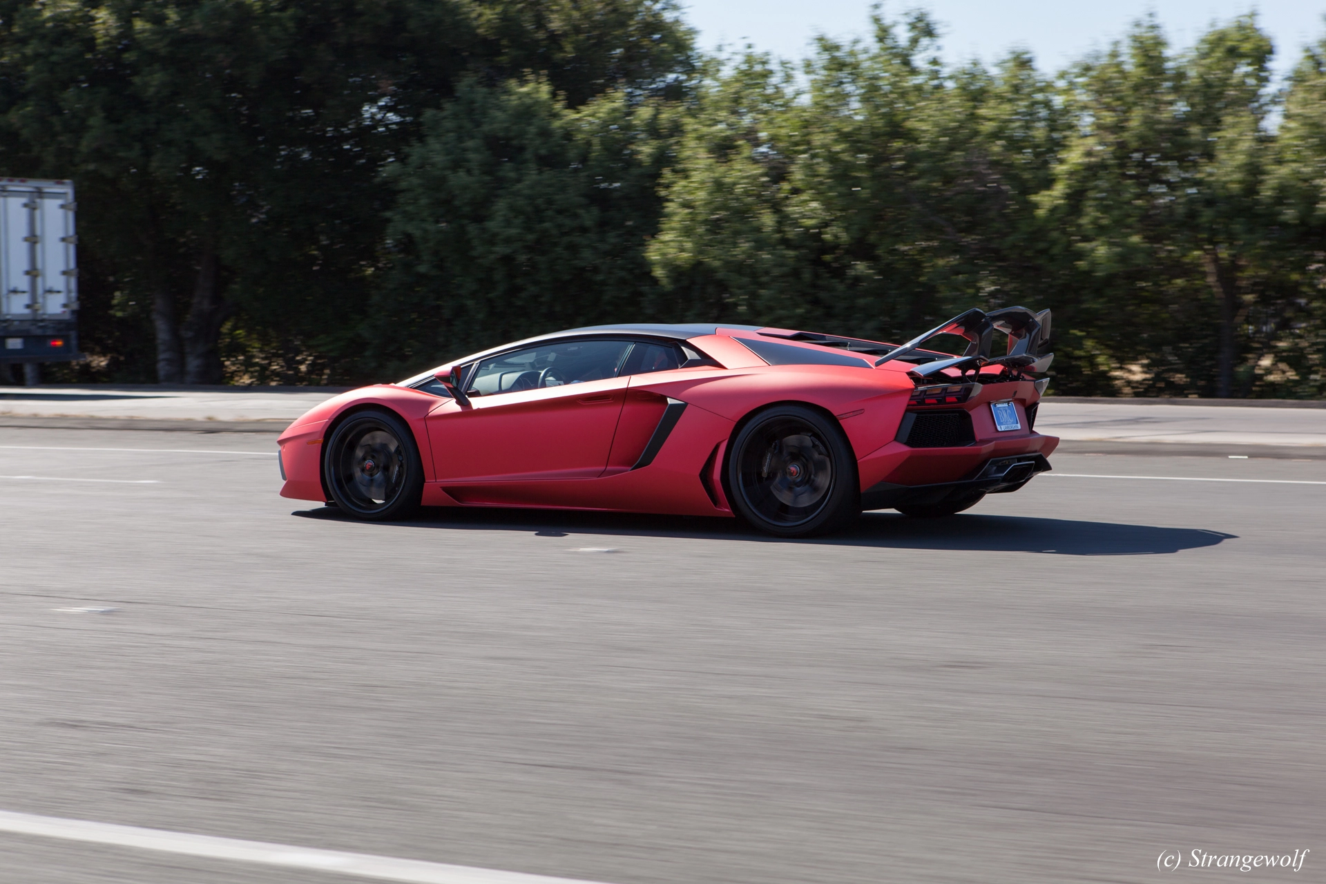 full image IMG_3439-lr19t.jpg