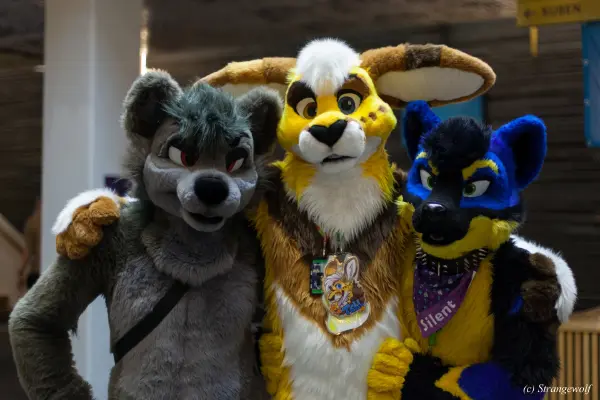 IMG_9176-lr19t.jpg of NFC/NFC2020/