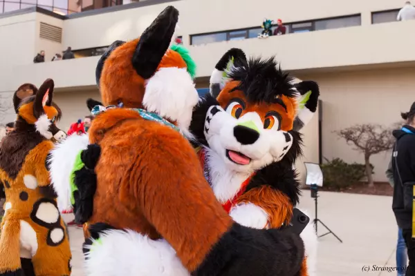 IMG_1490-lr19t.jpg of MFF/MFF2021/