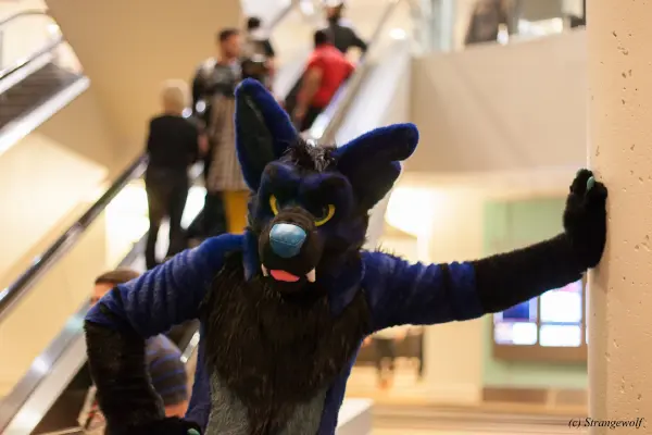 IMG_1816-lr19t.jpg of FWA/FWA2018/