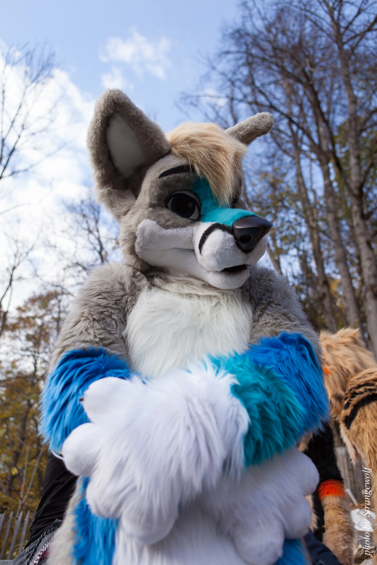 full image IMG_7878-lr19t.jpg