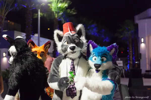 IMG_8617-lr16t.jpg of ESG/ESG2015/