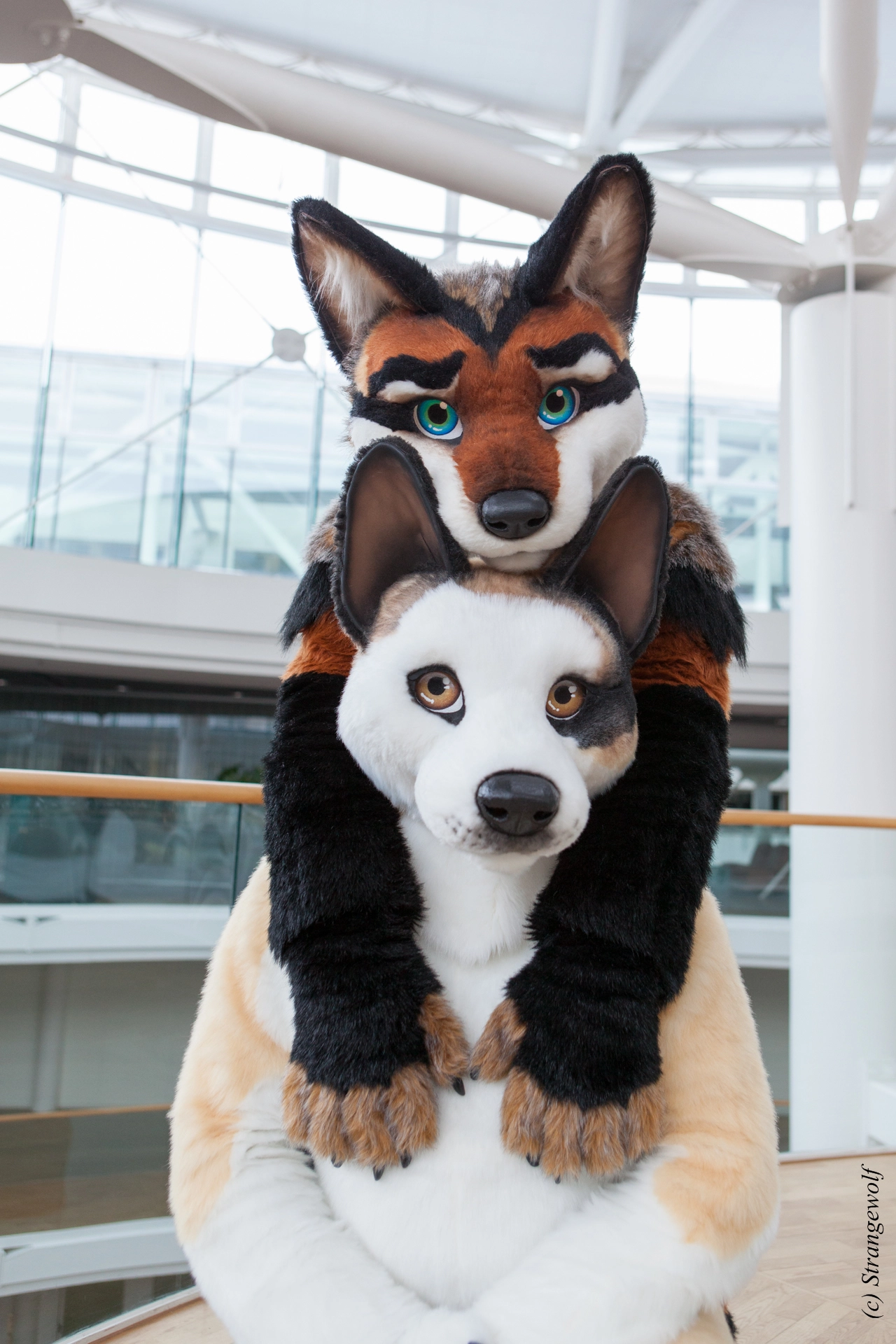 full image IMG_0491-lr19t.jpg