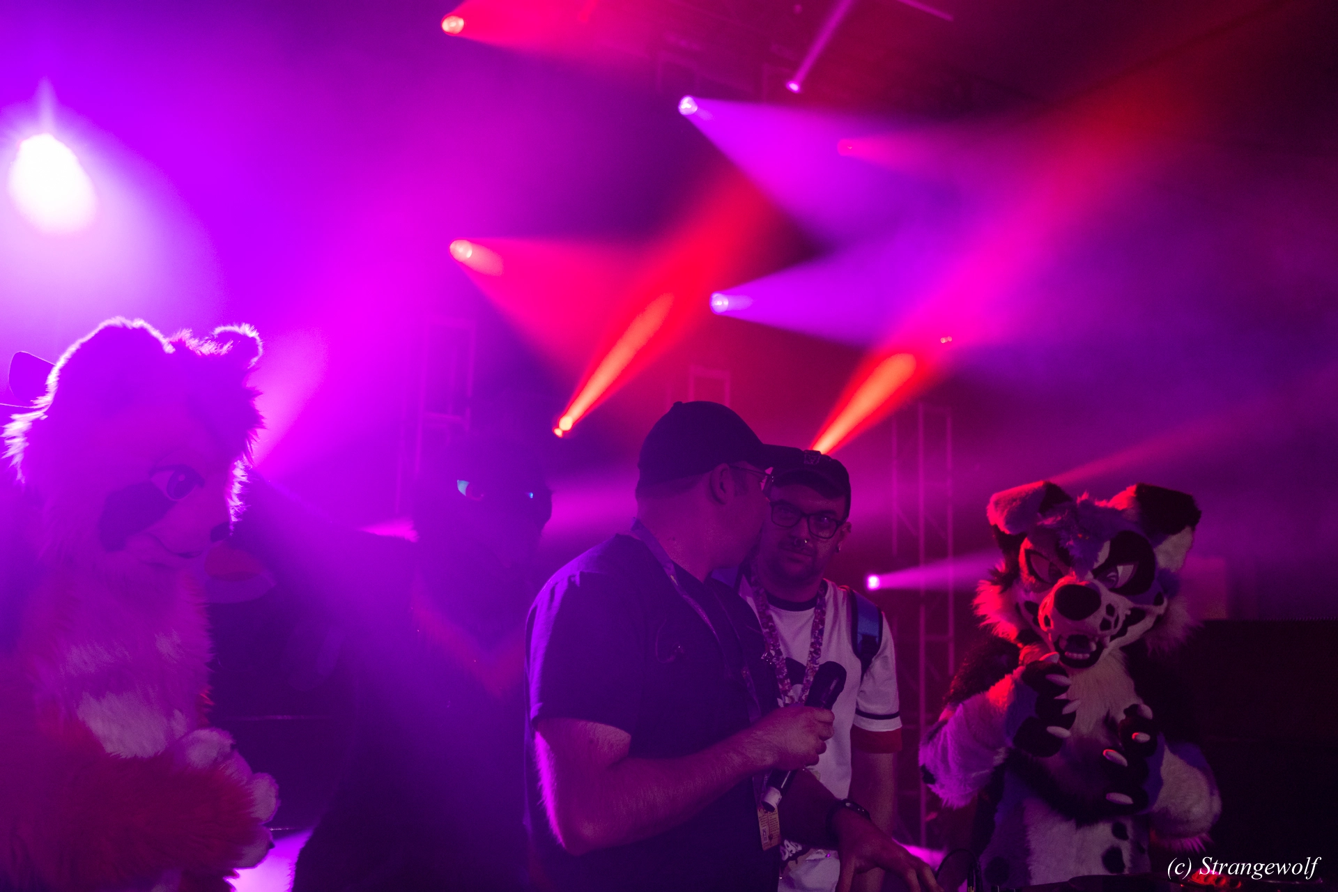 full image 1R3A0911-lr19t.jpg