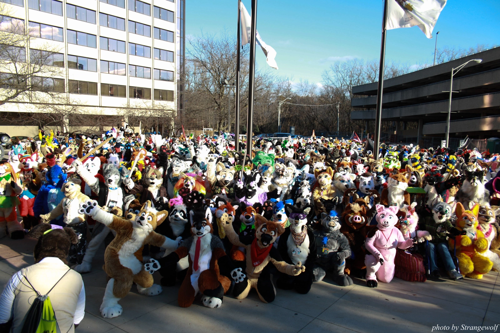 full image IMG_0653-lr.jpg