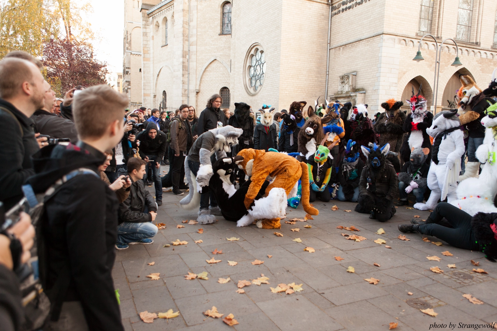 full image IMG_5309-lr16t.jpg