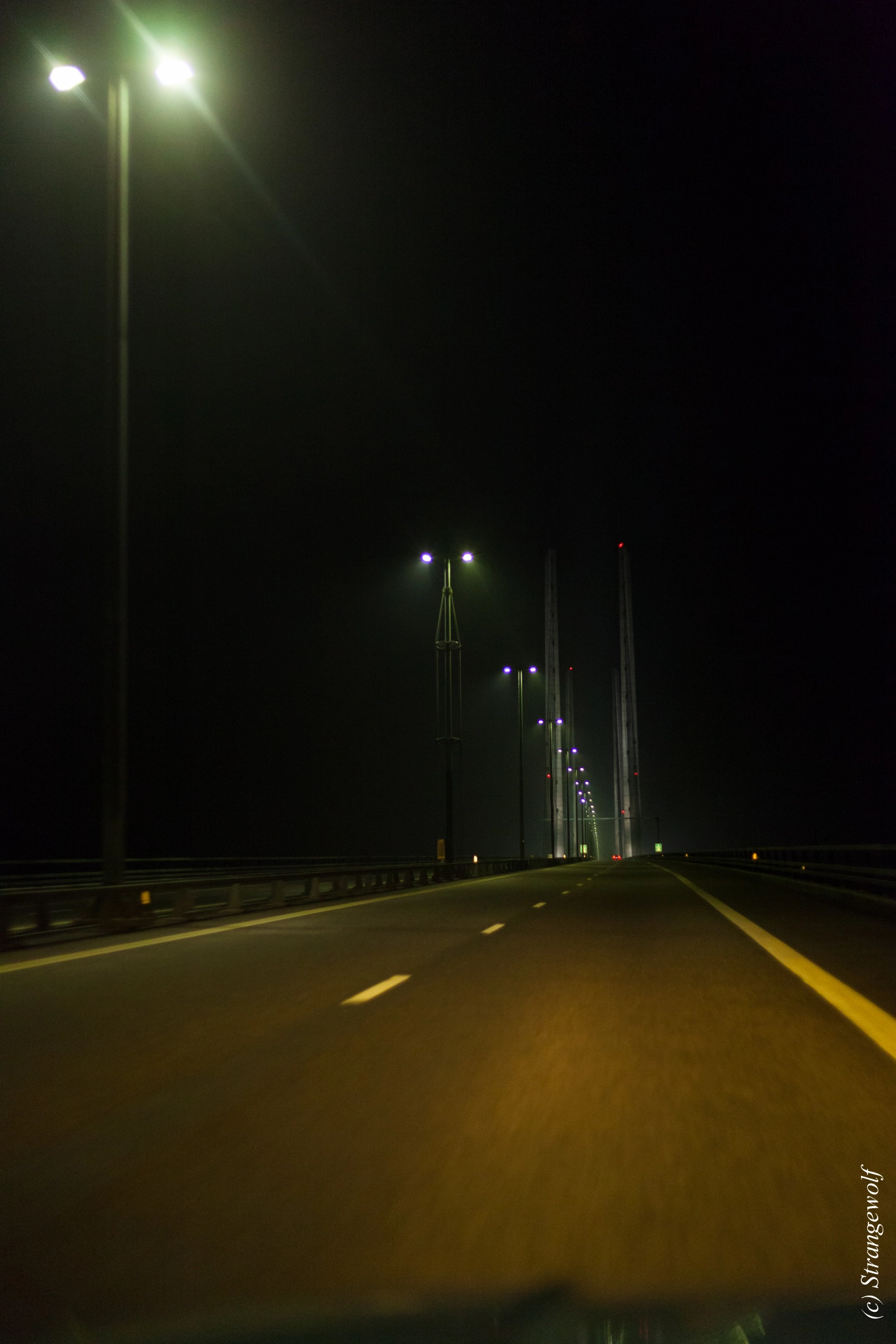 full image IMG_8503-lr19t.jpg