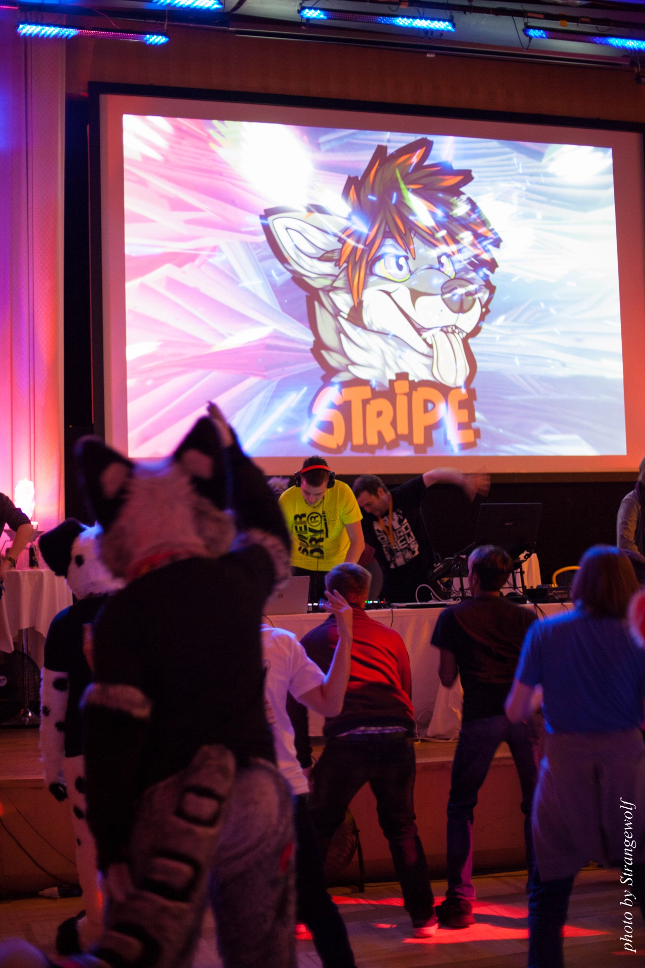 full image IMG_0249-lr19t.jpg