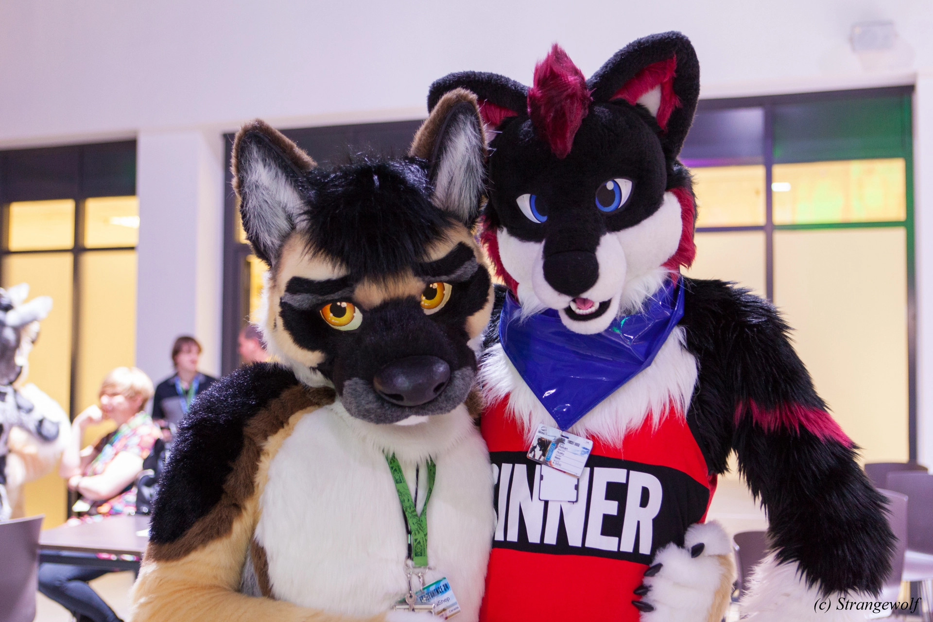 full image IMG_4874-lr19t.jpg