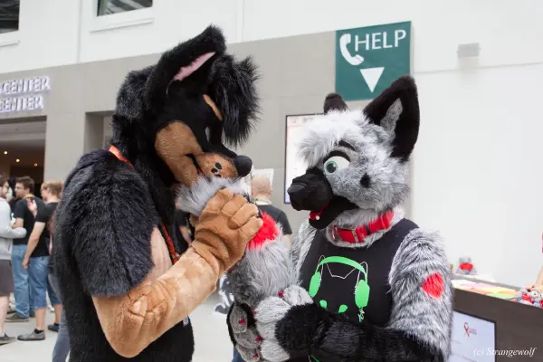 IMG_5330-lr19t.jpg of EF/EF24/