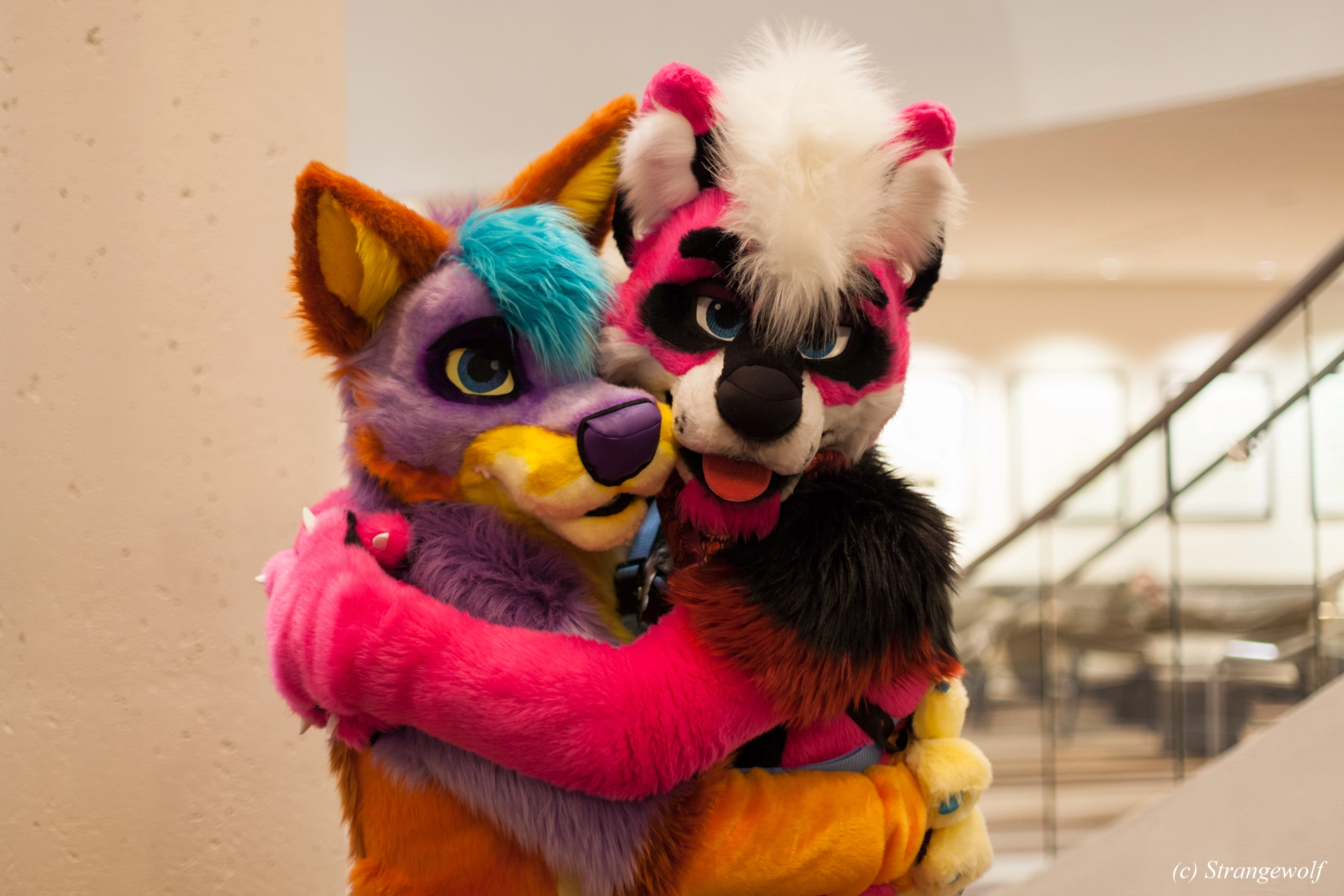 full image IMG_1825-lr19t.jpg