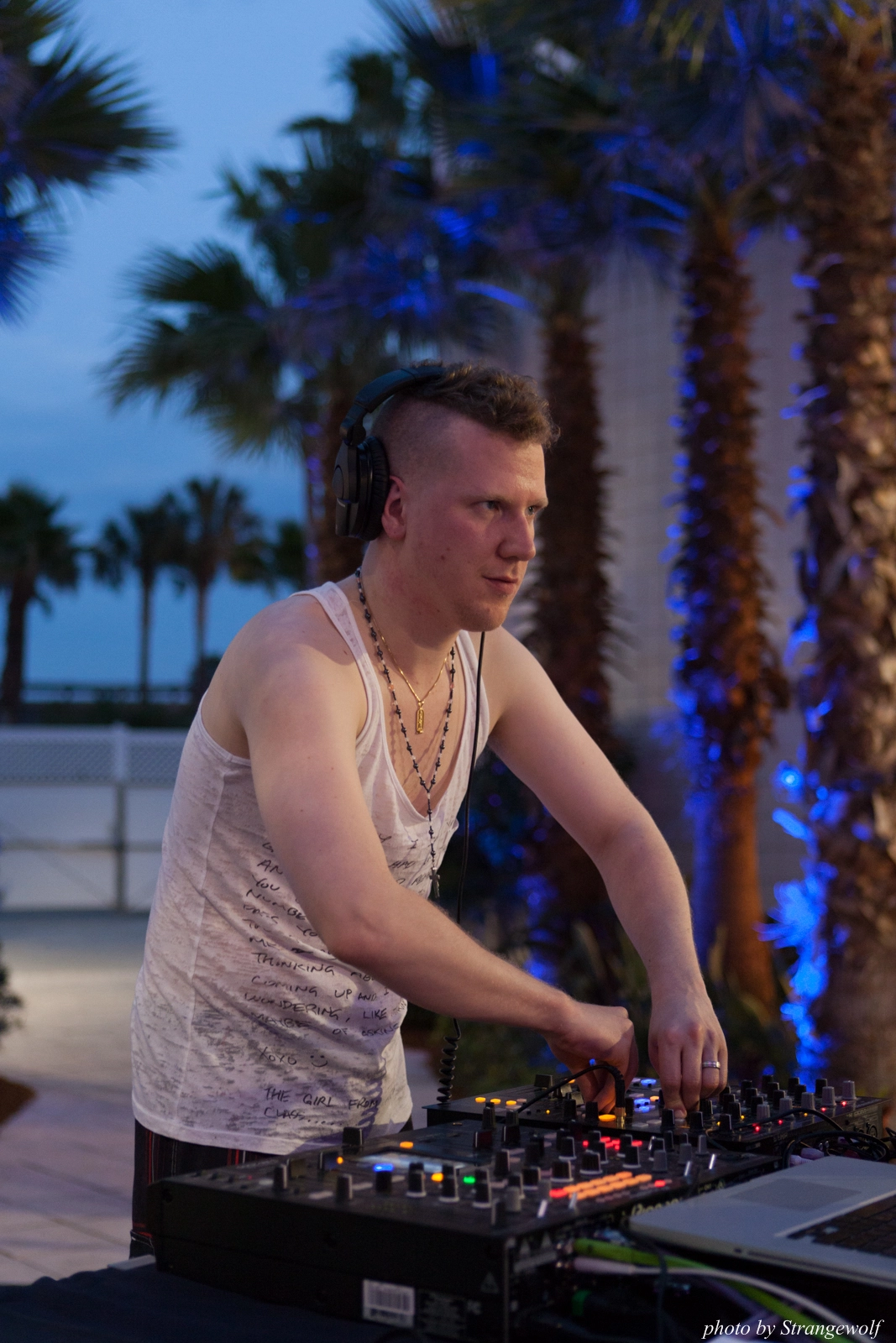 full image IMG_8426-lr16t.jpg