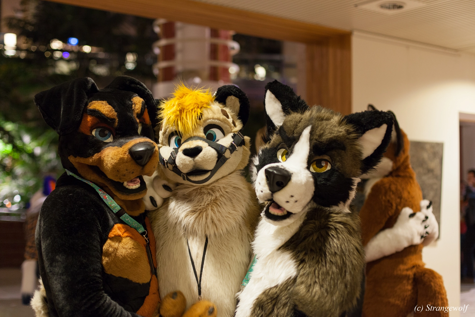 full image IMG_9101-lr19t.jpg