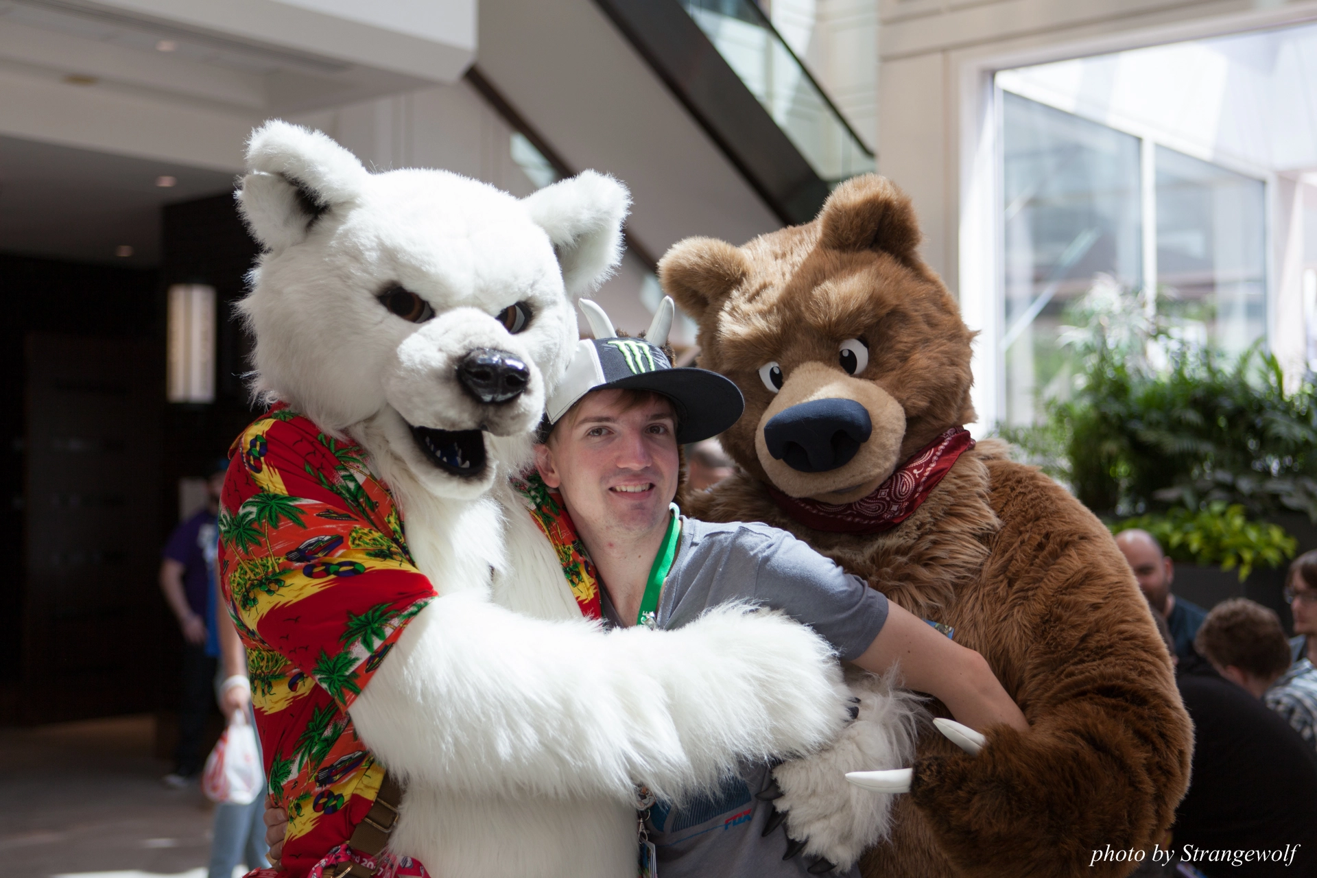 full image IMG_4821-lr19t.jpg