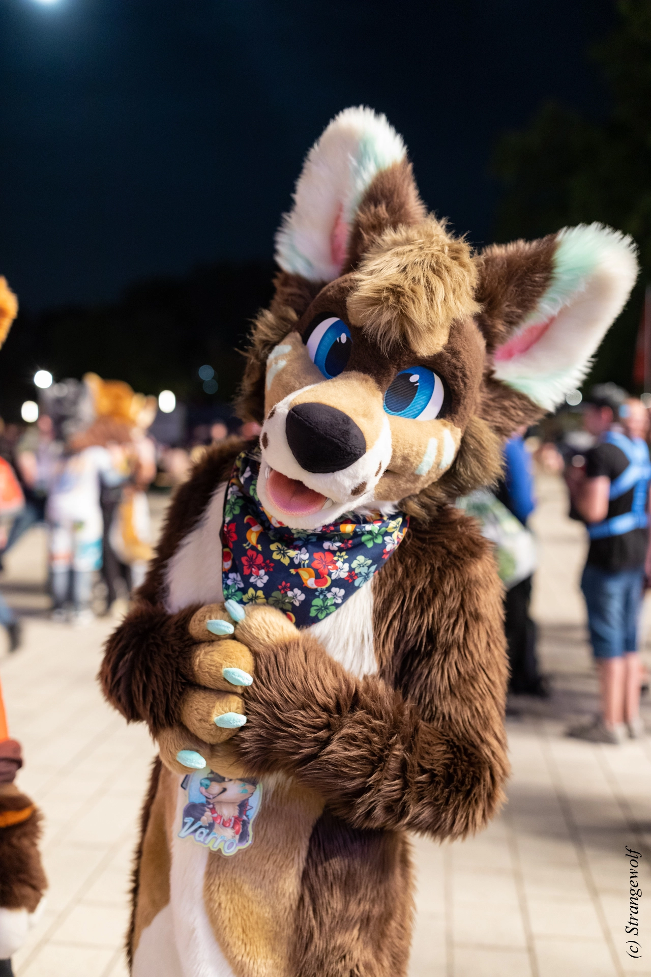 full image 1R3A9499-lr19t.jpg