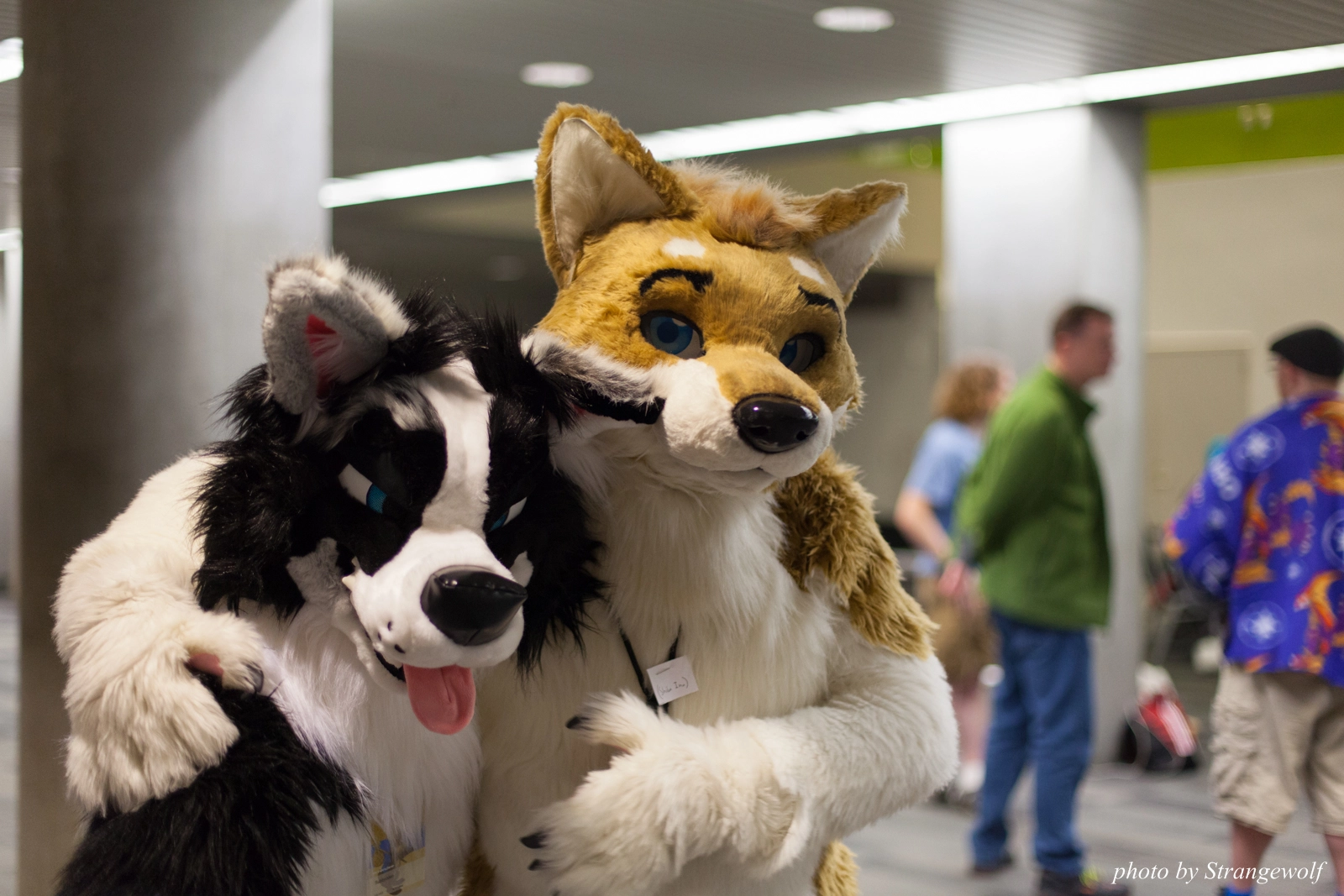 full image IMG_1239-lr16t.jpg