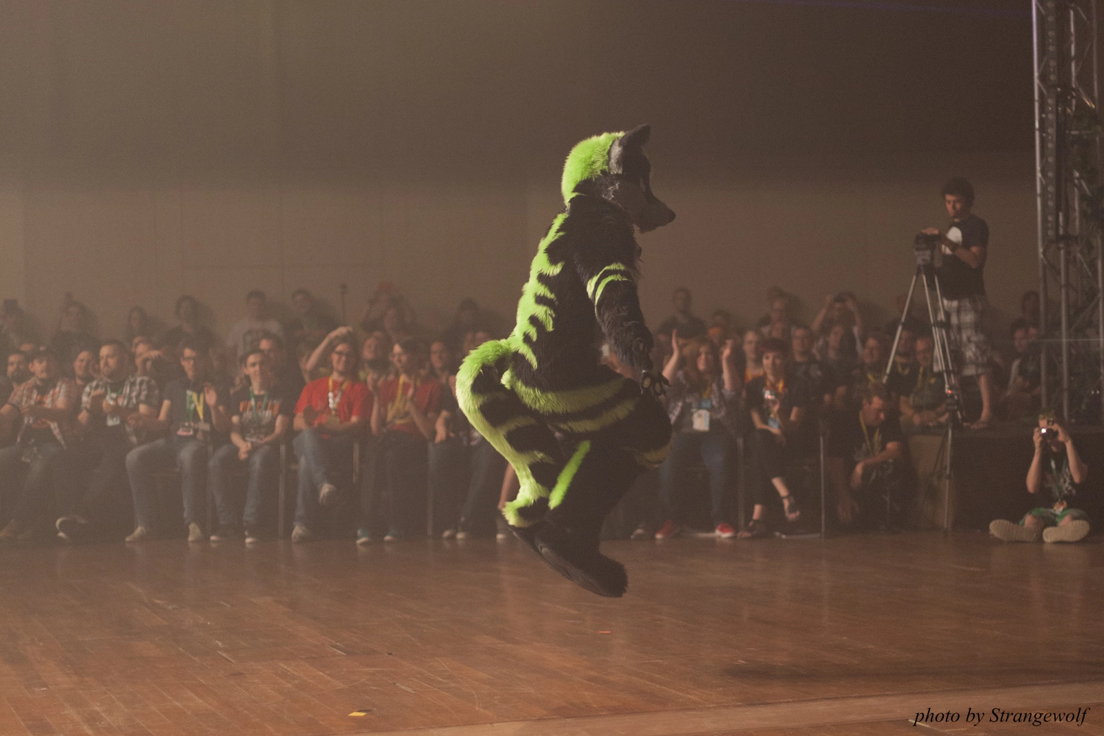 full image IMG_2875-lr16t.jpg