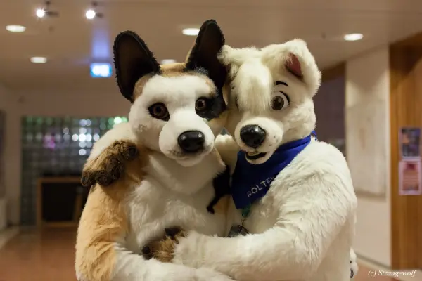 IMG_9180-lr19t.jpg of NFC/NFC2019/