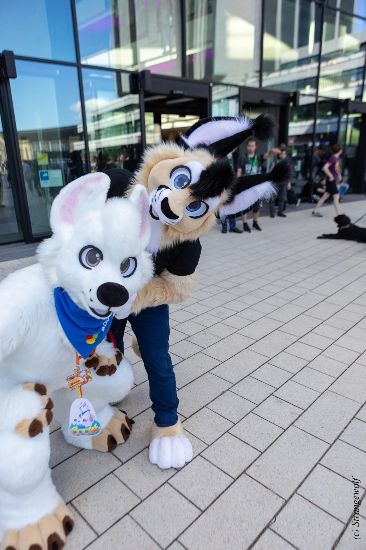 full image 1R3A9268-lr19t.jpg