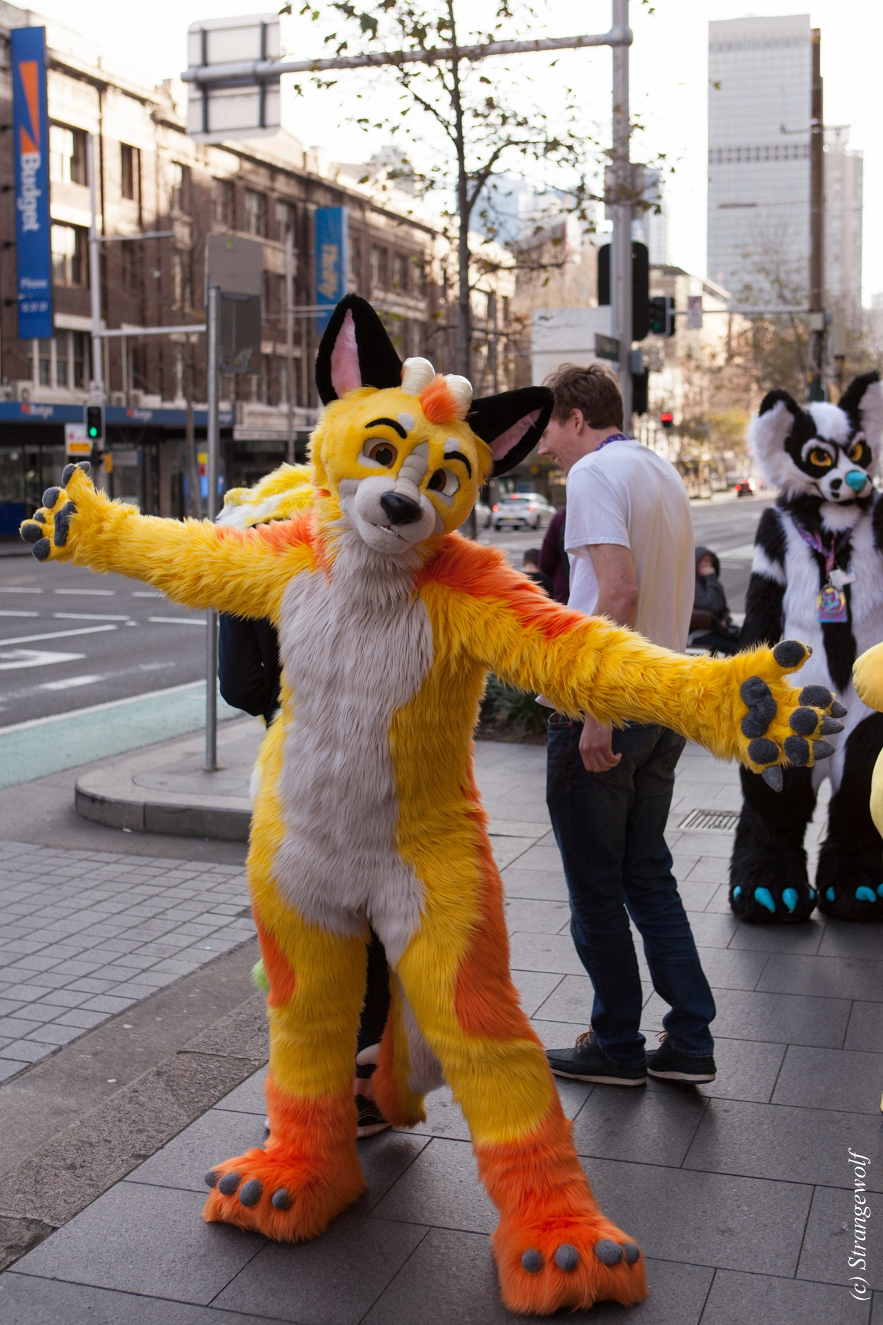 full image IMG_4561-lr19t.jpg