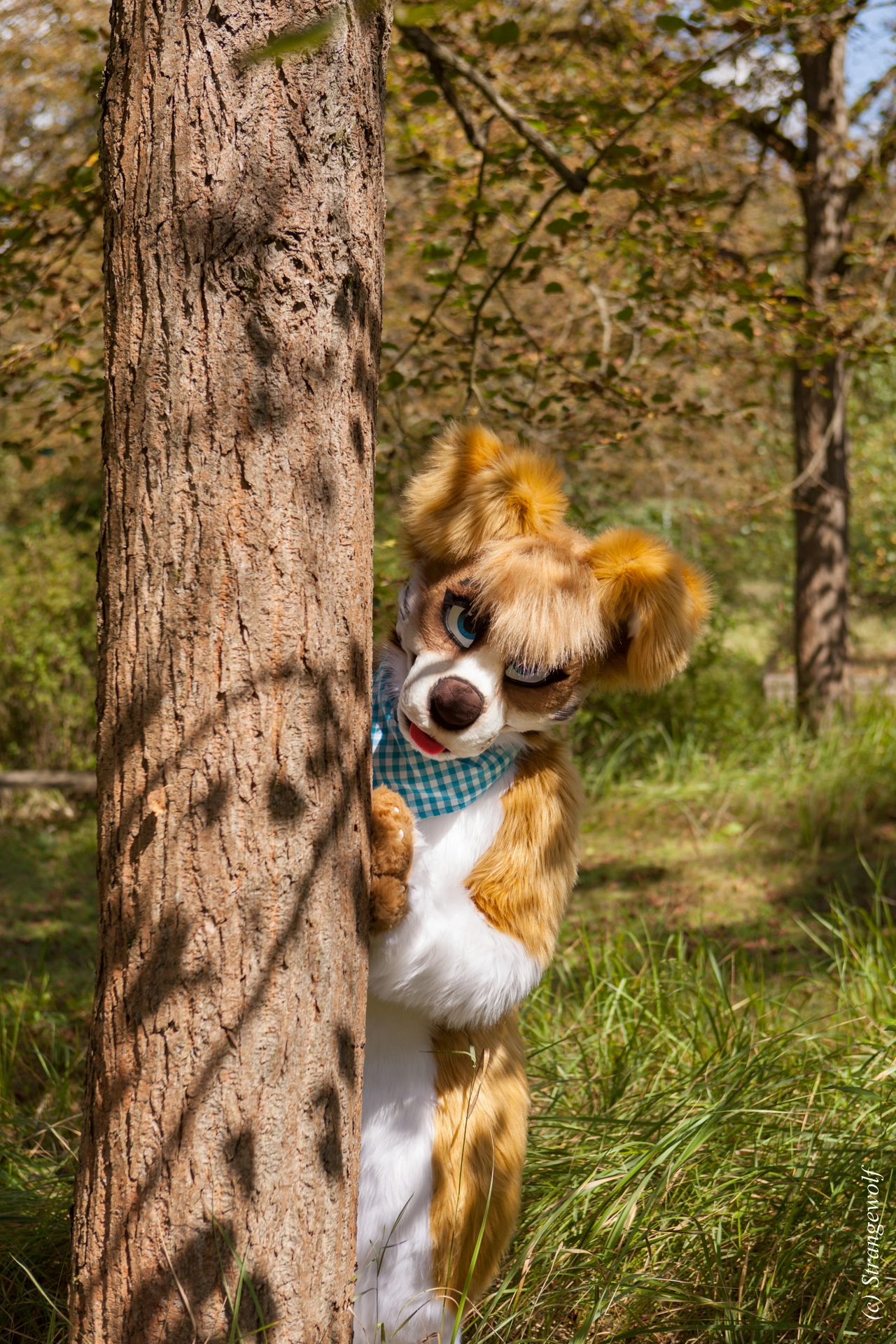 full image IMG_6200-lr19t.jpg