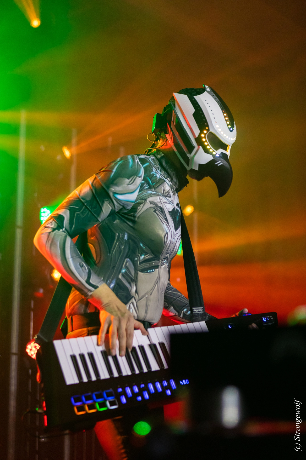 full image 1R3A4783-lr19t.jpg