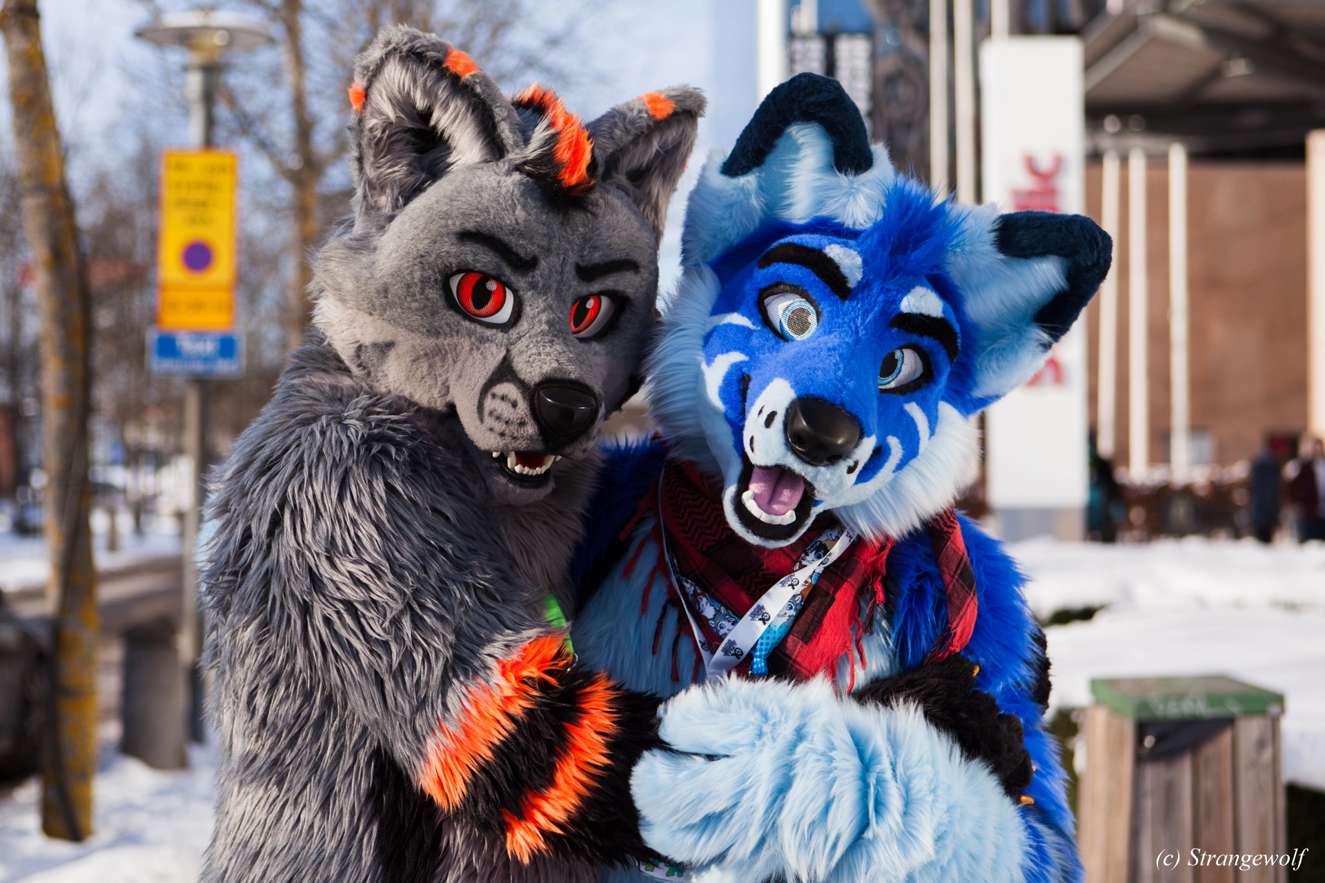 full image IMG_9962-lr19t.jpg