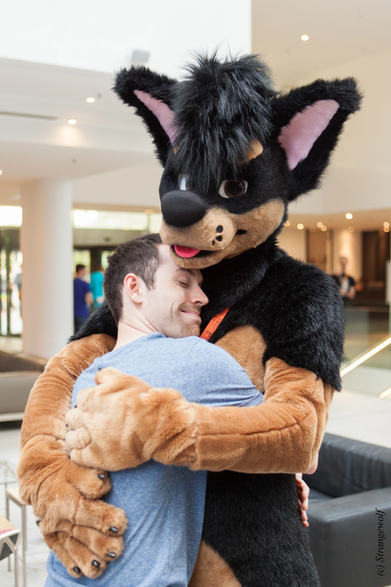 full image IMG_5445-lr19t.jpg